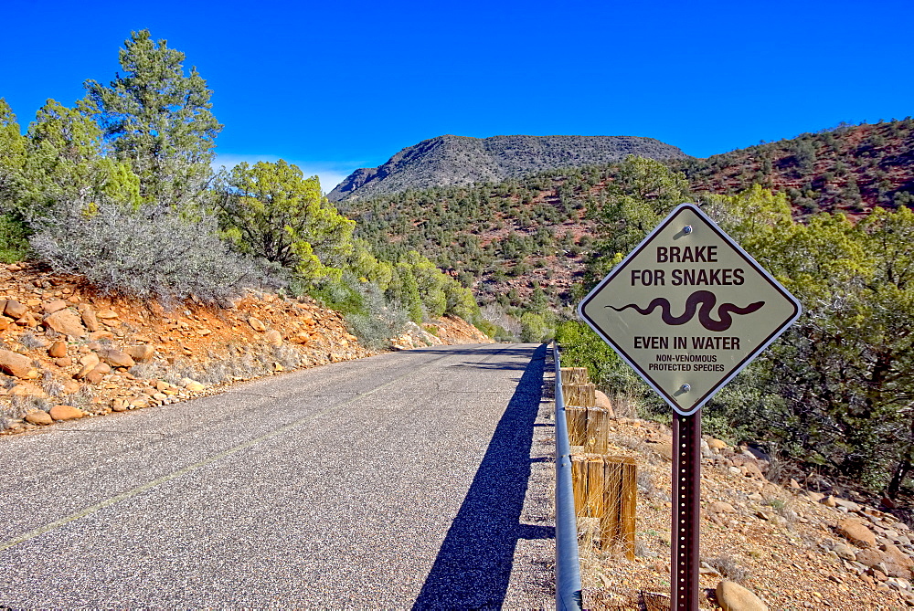 A road leading to Grasshopper Point in Sedona with a warning sign to not run over protected snakes, Arizona, United States of America, North America