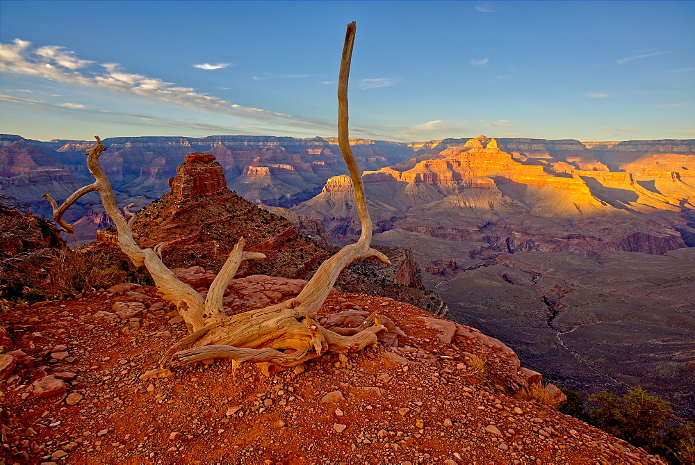 View of O'Neill Butte on the left and Grand Canyon on the right from the edge of Cedar Ridge along the South Kaibab Trail, Grand Canyon National Park, UNESCO World Heritage Site, Arizona, United States of America, North America