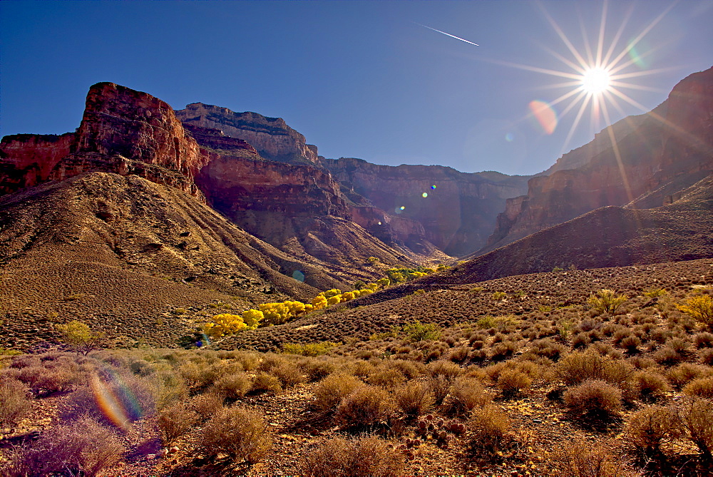 Bright Angel Canyon viewed north of the south rim with bright yellow trees in the bottom of the canyon (Indian Gardens), Grand Canyon National Park, UNESCO World Heritage Site, Arizona, United States of America, North America