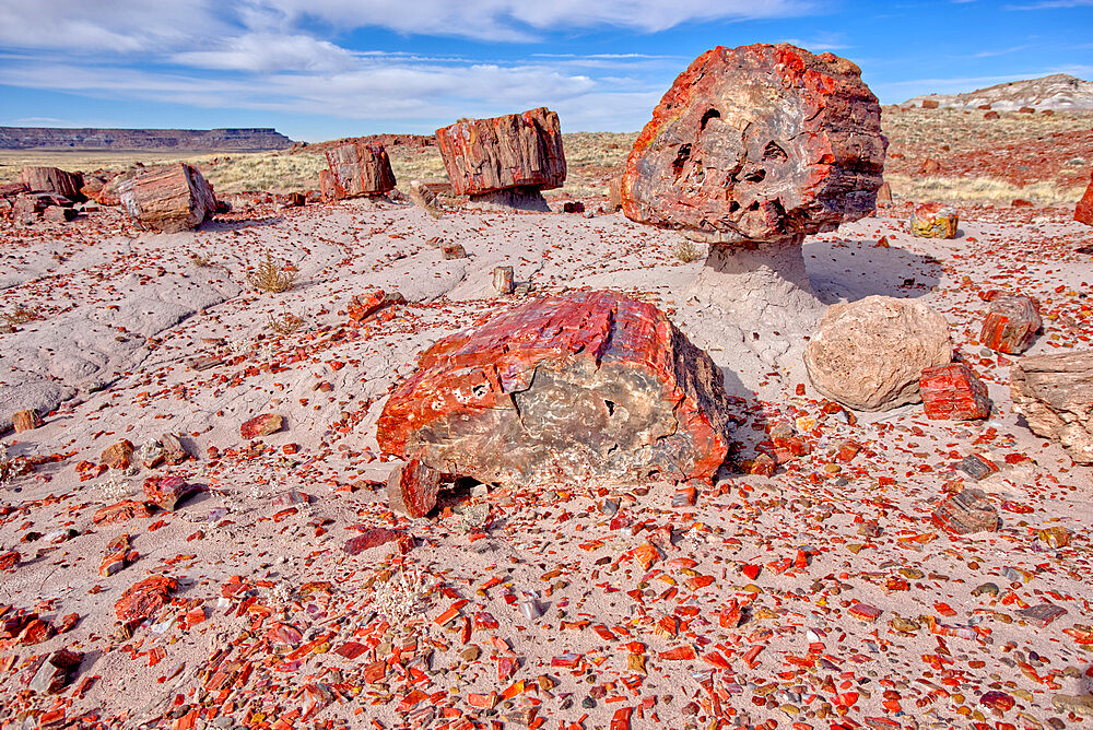 Shattered pieces of petrified wood in a sandy wash in the Jasper Forest of Petrified Forest National Park, Arizona, United States of America, North America