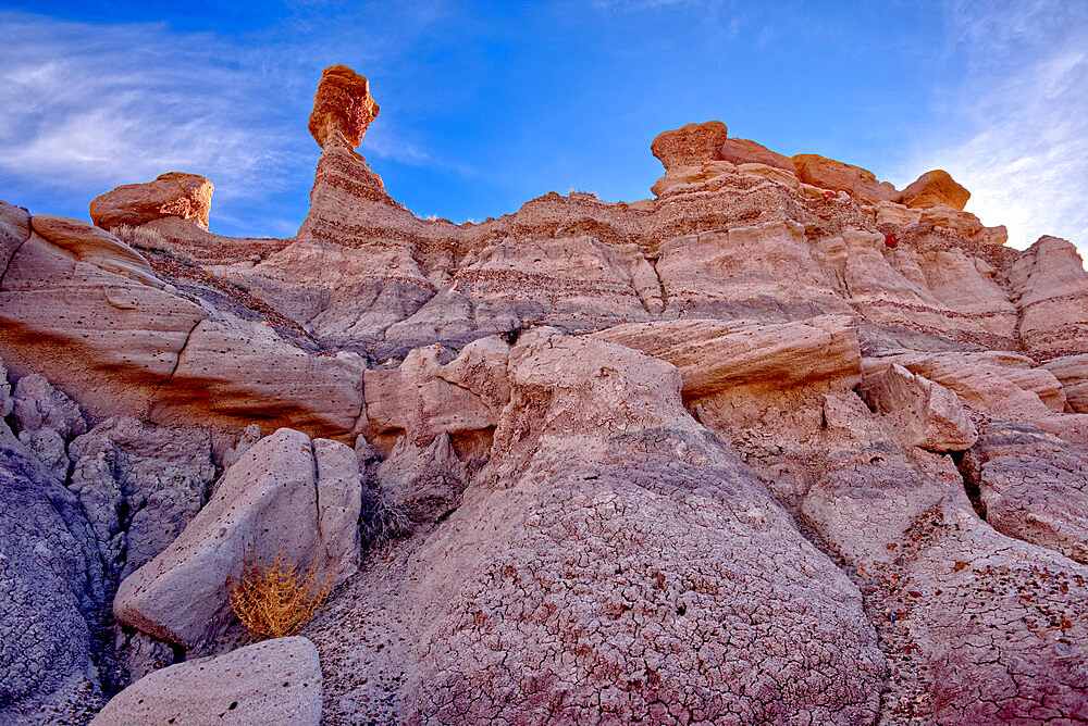 A Hoodoo of expansive clay called Bentonite in the Jasper Forest of Petrified Forest National Park, Arizona, United States of America, North America