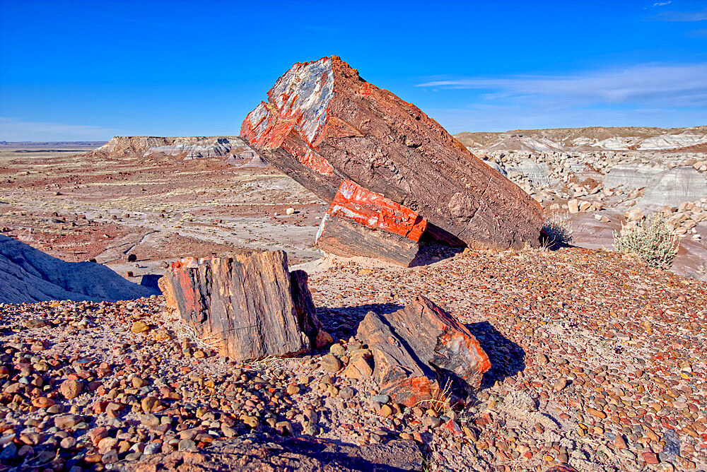 Large pieces of petrified wood in the Jasper Forest of Petrified Forest National Park, Arizona, United States of America, North America