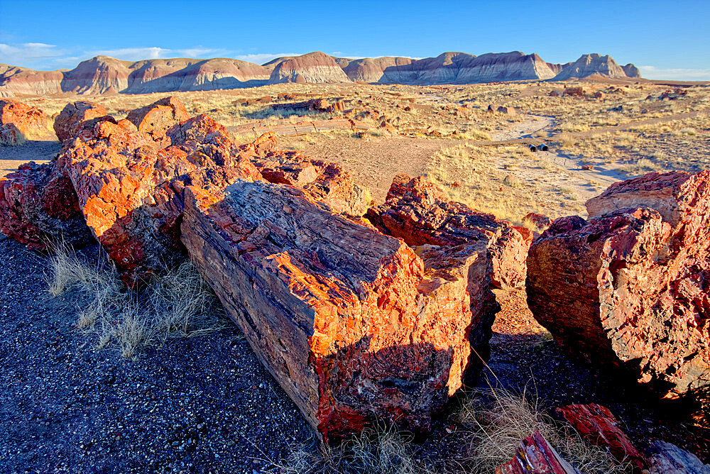 View of the Petrified Forest National Park from the Long Logs Trail on the south end of the park, Arizona, United States of America, North America