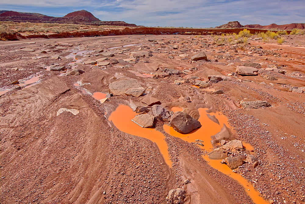 The Lithodendron Wash in the Petrified Forest National Park, Arizona, United States of America, North America