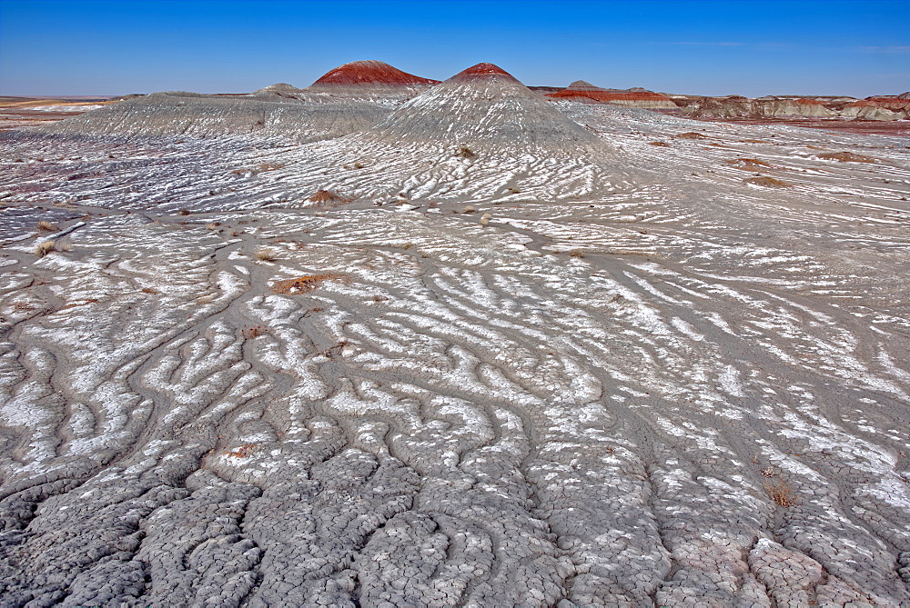 Salt covered hills of Bentonite in the Petrified Forest National Park along the Blue Forest Trail, Arizona, United States of America, North America