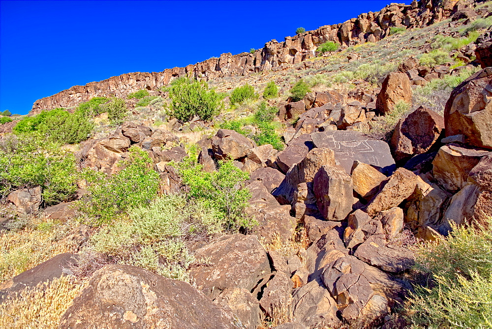 Petroglyph covered boulders on a slope in the Upper Verde River Wildlife Area in Paulden, Arizona, United States of America, North America