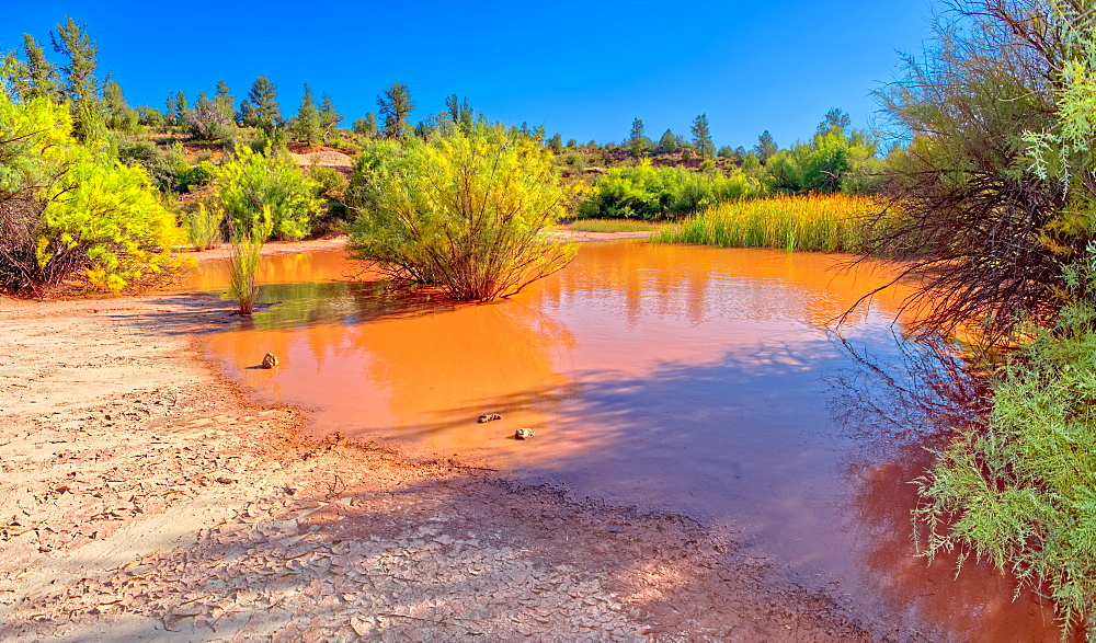 Toxic pond formed from runoff of mine tailings at an abandoned copper mine in the Prescott National Forest near Perkinsville, Arizona, United States of America, North America