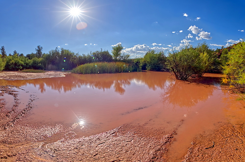 Toxic pond formed from runoff of mine tailings at an abandoned copper mine in the Prescott National Forest near Perkinsville, Arizona, United States of America, North America