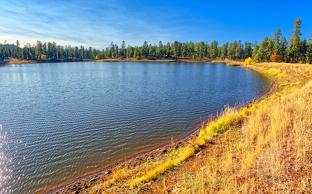 Northeast Shoreline view of White Horse Lake near Williams, located within the Kaibab National Forest, Arizona, United States of America, North America