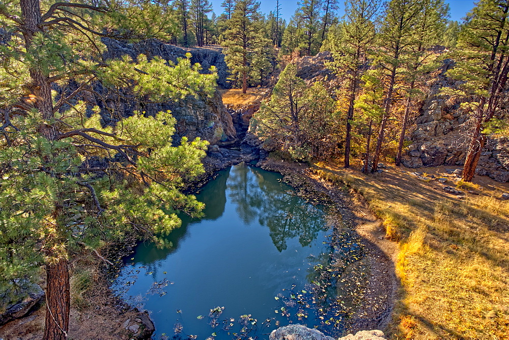 One of several natural ponds near Sycamore Falls known as the Pomeroy Tanks, Kaibab National Forest near Williams, Arizona, United States of America, North America