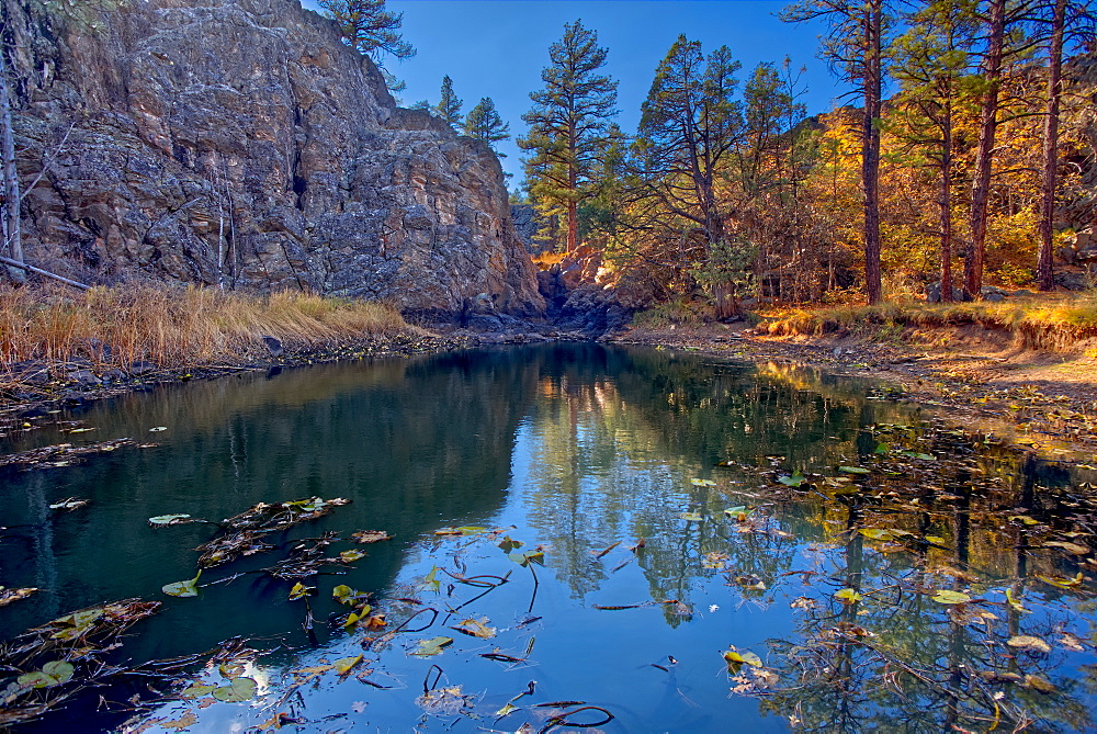 Pomeroy Tanks near Sycamore Falls, located in the Kaibab National Forest near Williams, Arizona, United States of America, North America