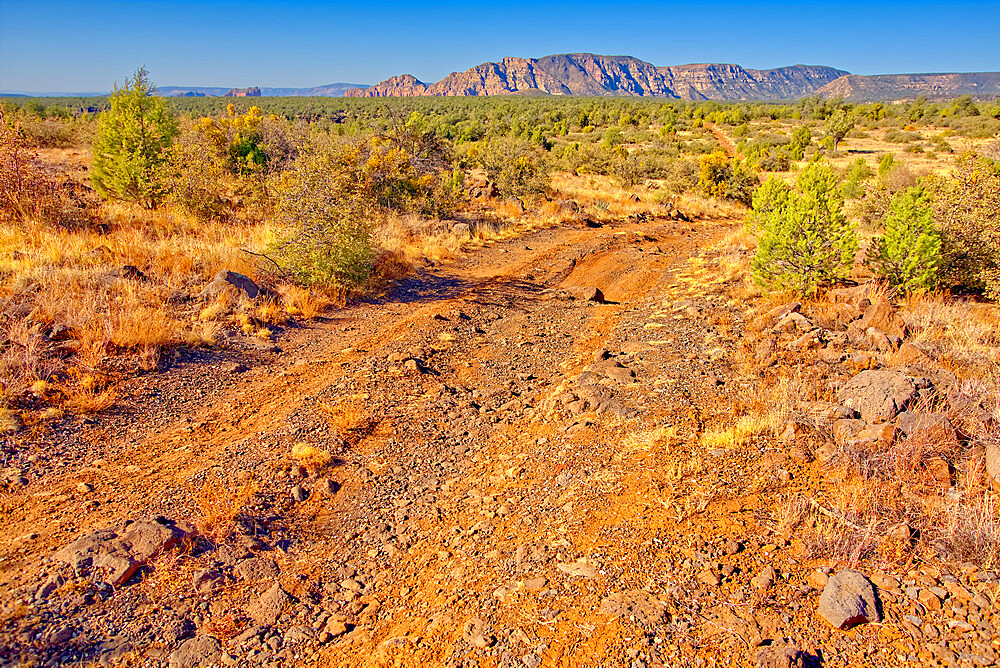 Rough road leading to the south rim of Rattlesnake Canyon southeast of Sedona in the Wet Beaver Wilderness, Arizona, United States of America, North America