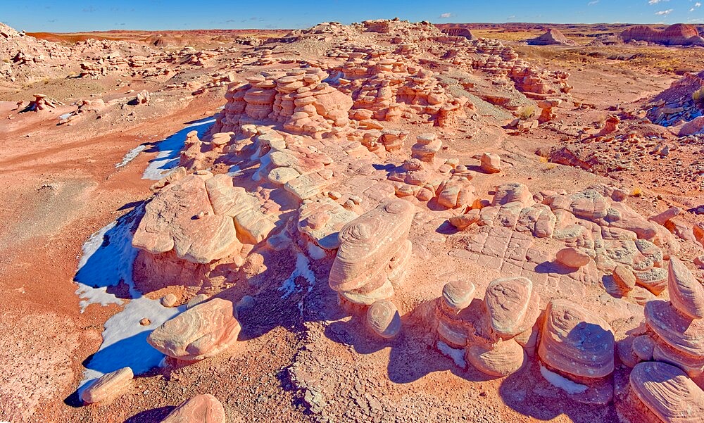 A section of Petrified Forest National Park called Angel Garden, northwest of the Onyx Bridge, Arizona, United States of America, North America