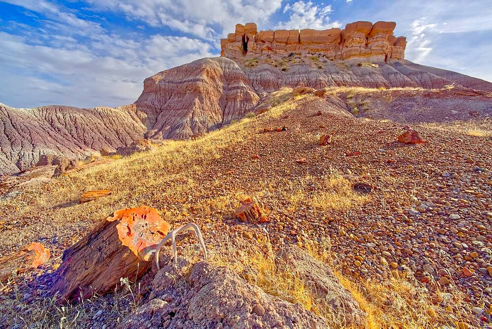 Keyhole Mesa, named for a keyhole shaped cave on its north side, in the First Forest of Petrified Forest National Park, Arizona, United States of America, North America