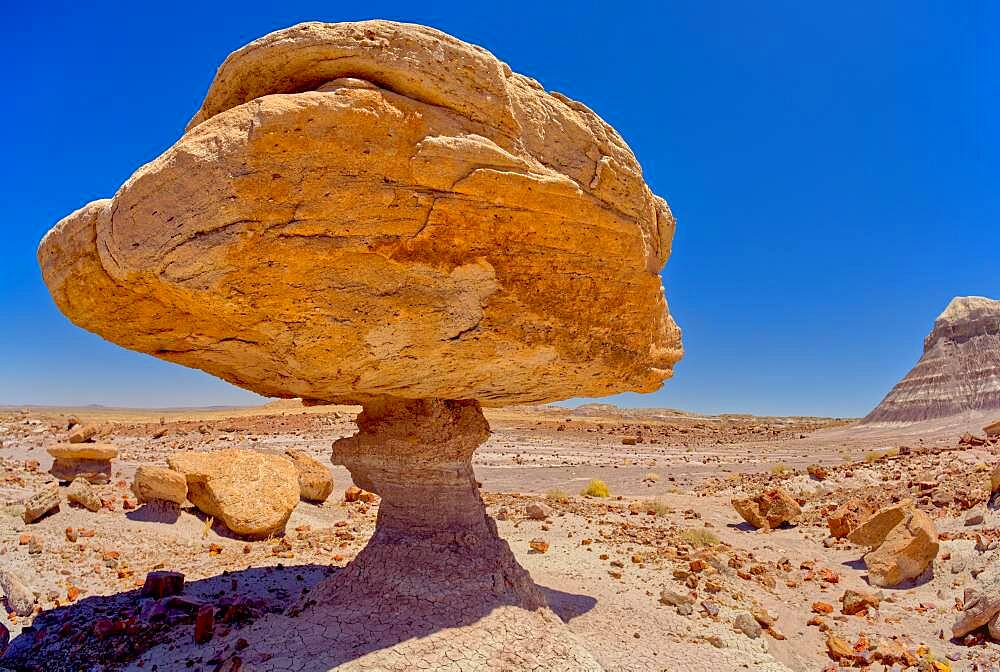 Balanced rock that resembles a toadstool, petrified wood scattered around the formation, Petrified Forest National Park, Arizona, United States of America, North America