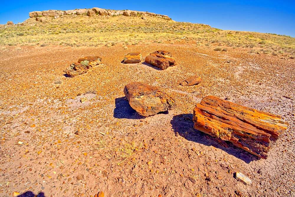 Formation called Agate Mesa, viewed from a group of petrified wood in the foreground, Petrified Forest National Park, Arizona, United States of America, North America