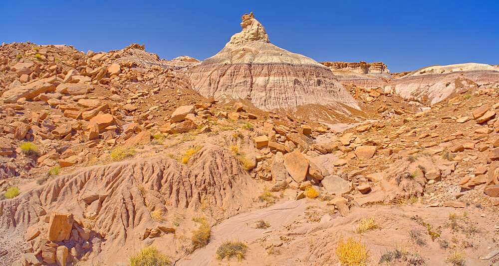 A rock hoodoo shaped like a horse head, along the base of Blue Mesa in Petrified Forest National Park, Arizona, United States of America, North America