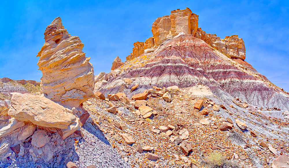 A hoodoo formation called Medusa's Child below the cliffs of Agate Plateau in Petrified Forest National Park, Arizona, United States of America, North America