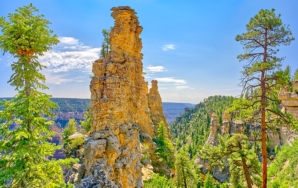 Large rock spires on the cliff of Transept Canyon along the Widforss Trail at Grand Canyon North Rim, UNESCO World Heritage Site, Arizona, United States of America, North America