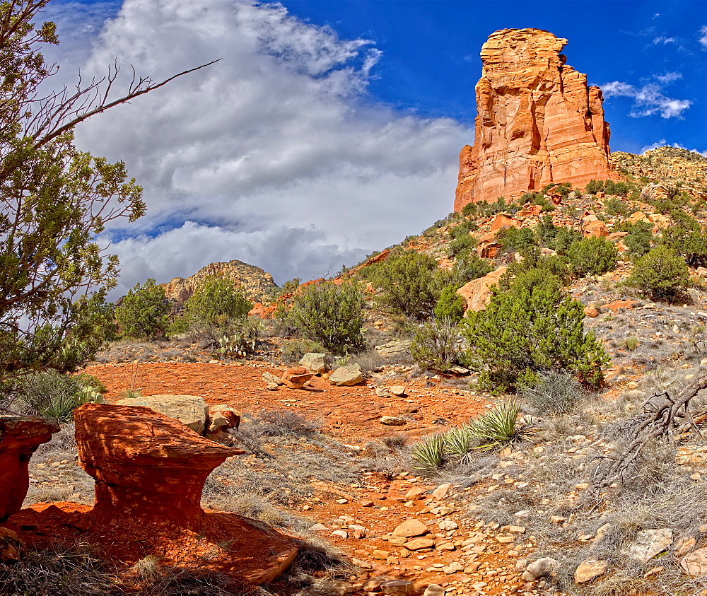 A Sandstone Toadstool near the base of the rock formation called the Rabbit Ears in Sedona, Arizona, United States of America, North America