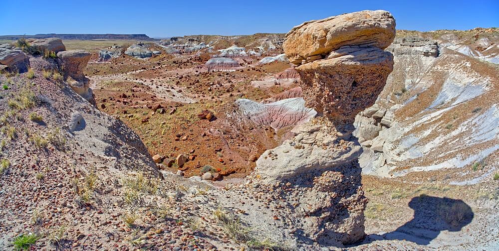 A hoodoo overlooking Jasper Forest in Petrified Forest National Park Arizona that resembles a Dinosaur Head.