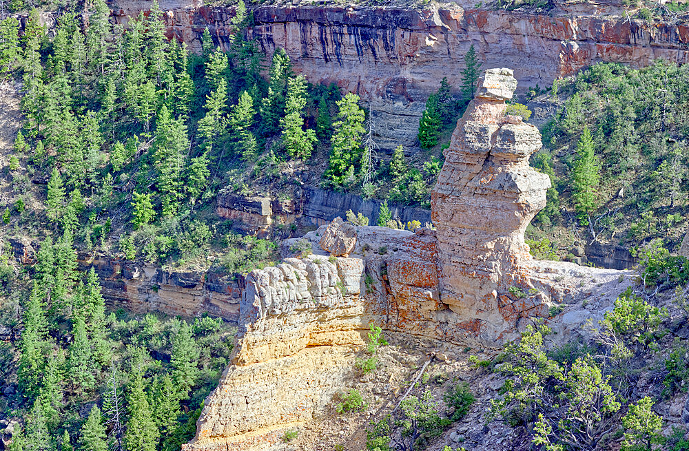 View of the formation called Duck On A Rock in the afternoon, Grand Canyon National Park, UNESCO World Heritage Site, Arizona, United States of America, North America