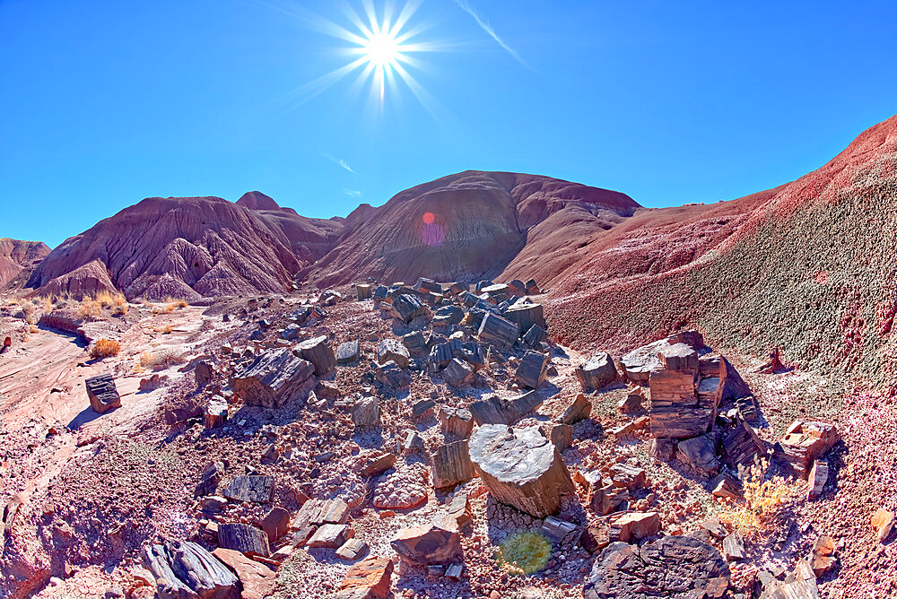 A field of shattered wood in Tiponi Canyon in Petrified Forest National Park Arizona.