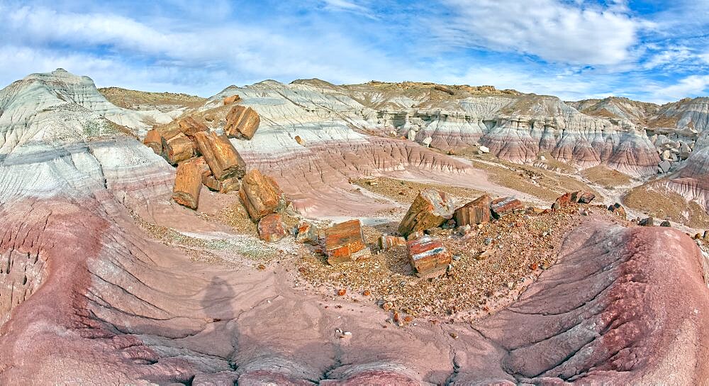 Giant pieces of broken petrified wood in Jasper Forest at Petrified Forest National Park Arizona.