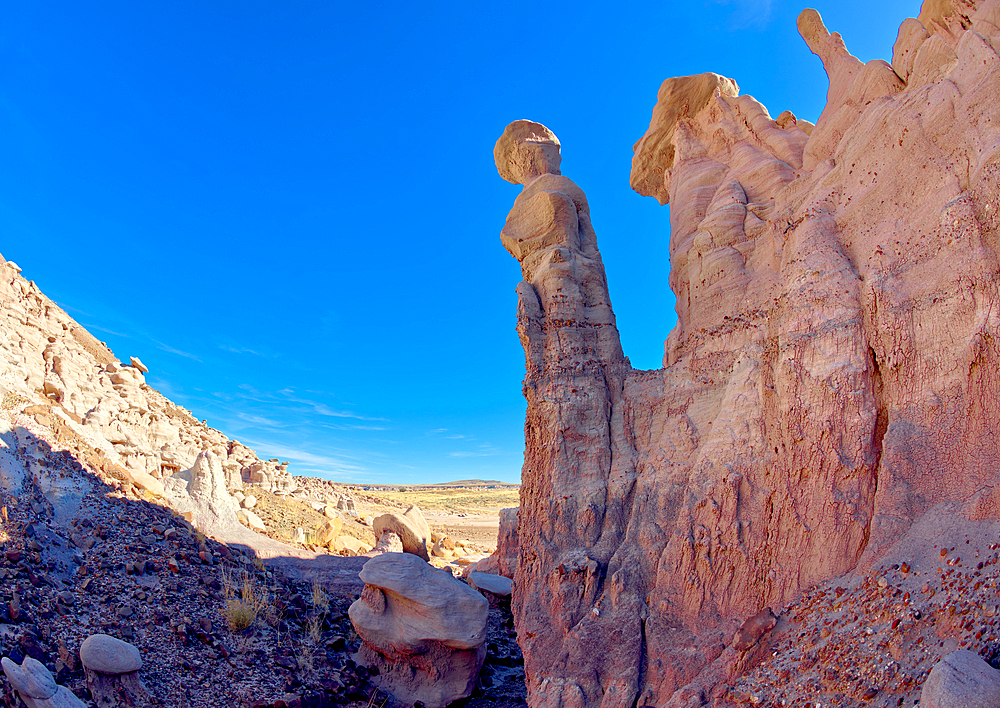 A feminine shaped hoodoo in Petrified Forest Arizona on the north side of the Clam Beds called Queen of Pearls.