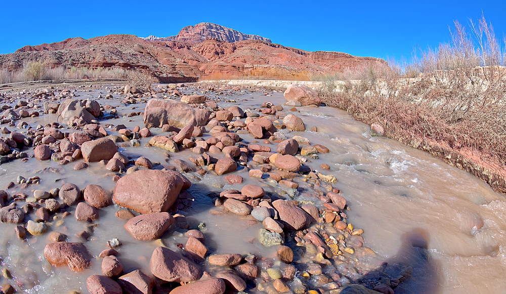 The Paria River flowing through Paria Canyon in the Glen Canyon Recreation Area, Arizona, United States of America, North America