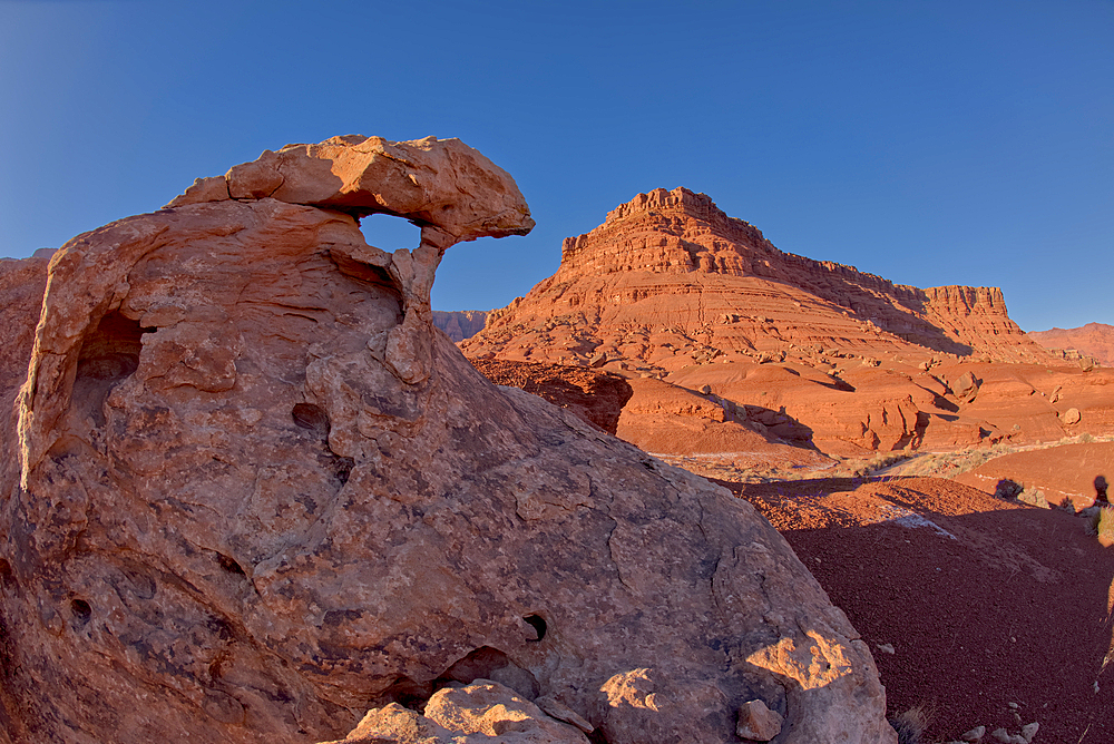 View of the south side of Johnson Point from below its cliffs at Marble Canyon, Glen Canyon Recreation Area, Arizona, United States of America, North America