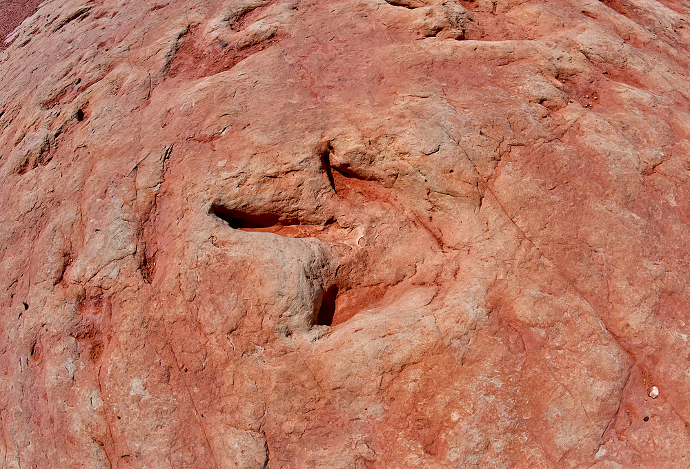 Dinosaur tracks at a tourist attraction on the Navajo Indian Reservation near Tuba City, Arizona, United State of America, North America