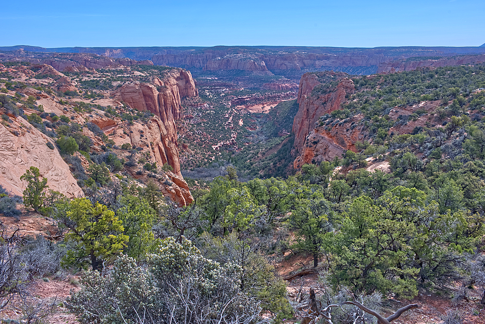 Betatakin Canyon, Navajo National Monument, inside the Navajo Indian Reservation northwest of the town of Kayenta, Arizona, United States of America, North America