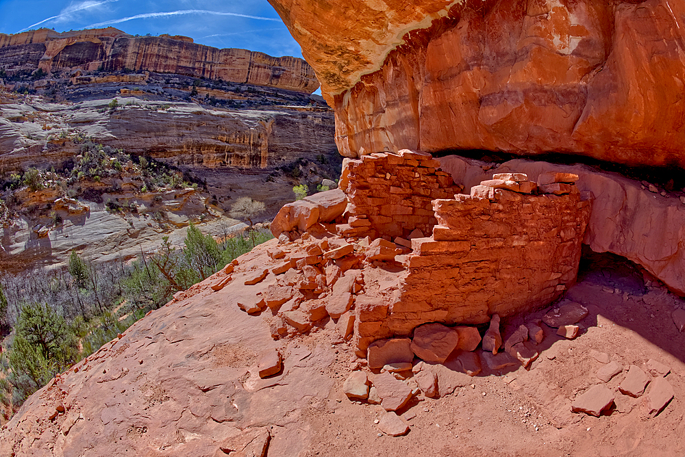 The Horse Collar Ruins located between the Sipapu Arch Bridge and the Kachina Arch Bridge, Natural Bridges National Monument, Utah, United States of America, North America