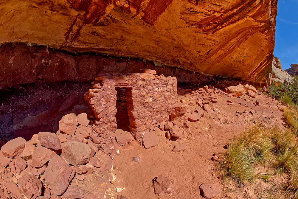 The Horse Collar Ruins located between the Sipapu Arch Bridge and the Kachina Arch Bridge, Natural Bridges National Monument, Utah, United States of America, North America