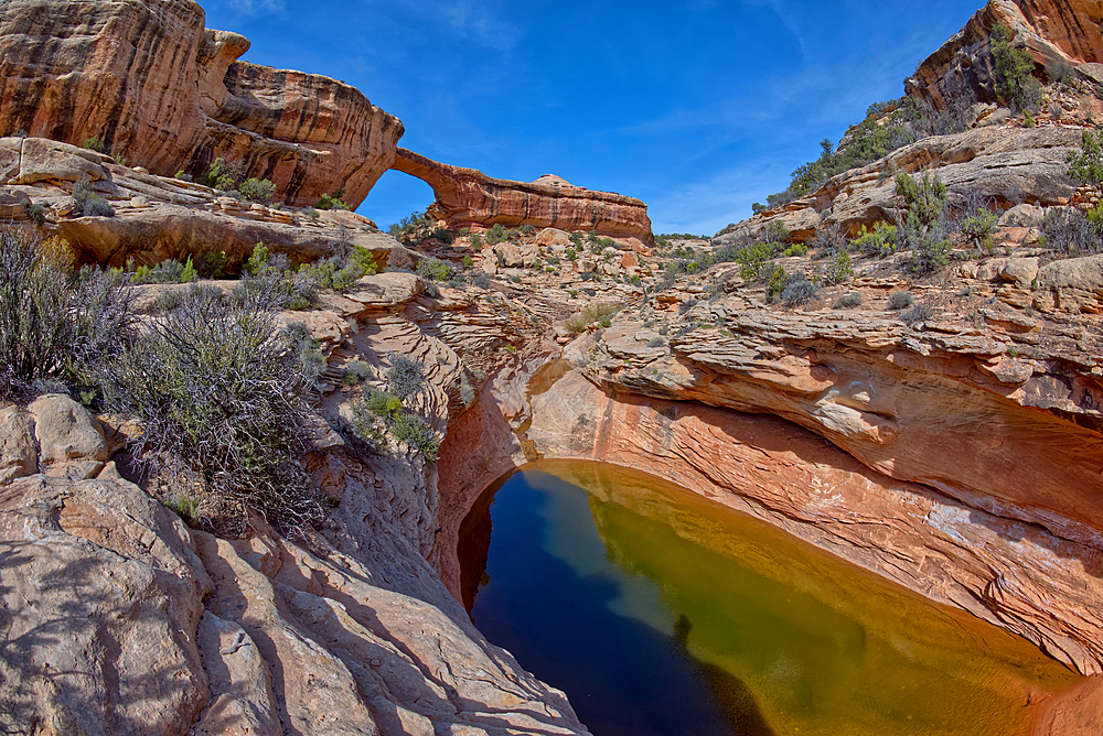 The Owachomo Bridge (Rock Mound in Hopi), Natural Bridges National Monument, Utah, United States of America, North America