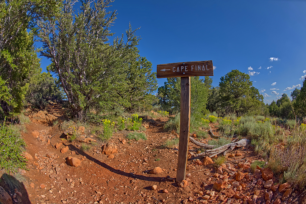 A sign posted by the Park Service pointing the way to Cape Final on the North Rim of Grand Canyon, Arizona, United States of America, North America