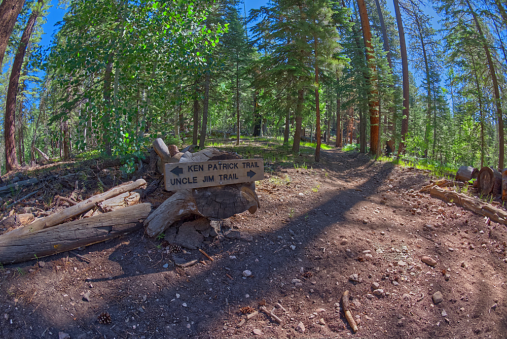 The trail junction for the Ken Patrick Trail and Uncle Jim Trail at Grand Canyon North Rim, Grand Canyon National Park, UNESCO World Heritage Site, Arizona, United States of America, North America