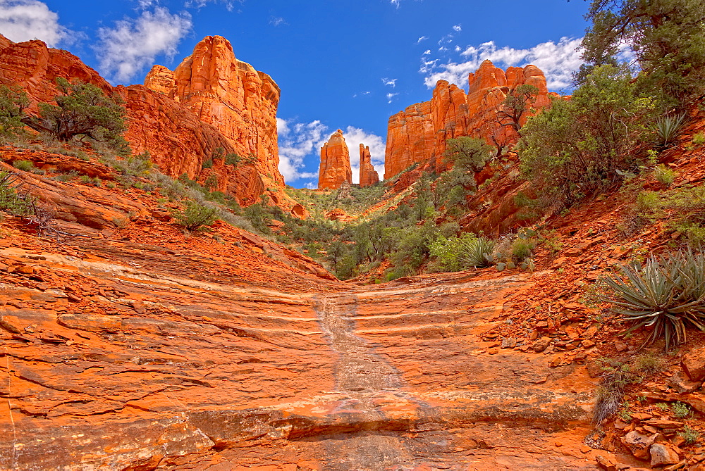 Cathedral Rock in Sedona viewed from a hidden trail on the west side of the rock, Sedona, Arizona, United States of America, North America