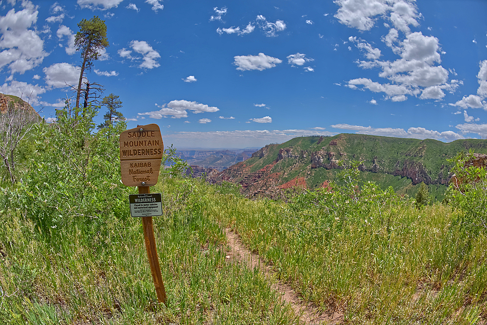 Sign marking the boundary for the Saddle Mountain Wilderness that borders Grand Canyon National Park, Arizona, United States of America, North America