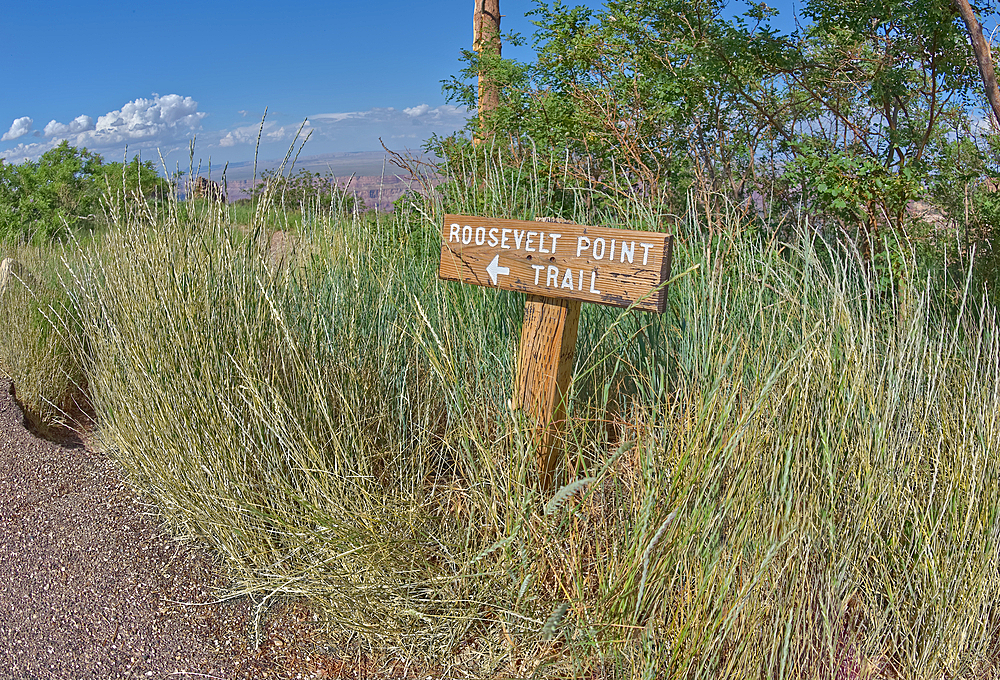 Wooden sign marking the way to Roosevelt Point on the North Rim of Grand Canyon, Arizona, United States of America, North America