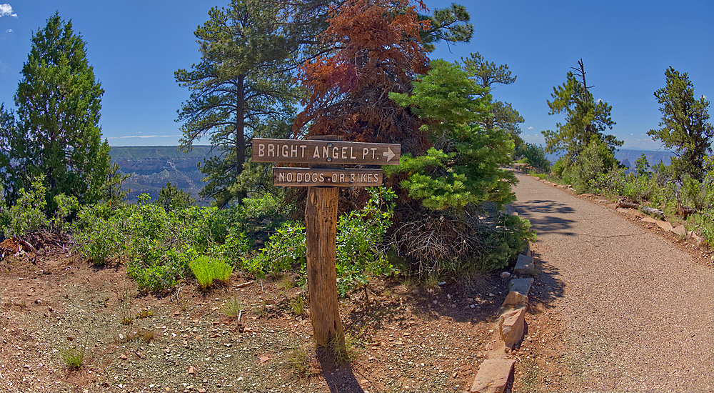 Bright Angel Point trail sign pointing the way to the overlook on Grand Canyon North Rim, Grand Canyon National Park, UNESCO World Heritage Site, Arizona, United States of America, North America