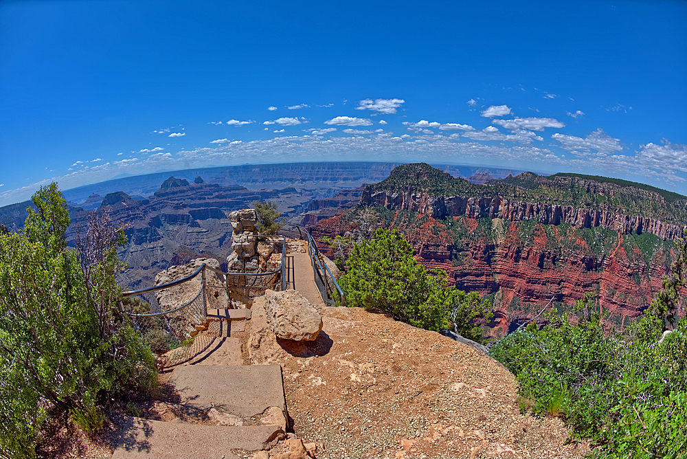 An overlook along the Transept Trail with Oza Butte just right of center at Grand Canyon North Rim, Grand Canyon National Park, UNESCO World Heritage Site, Arizona, United States of America, North America