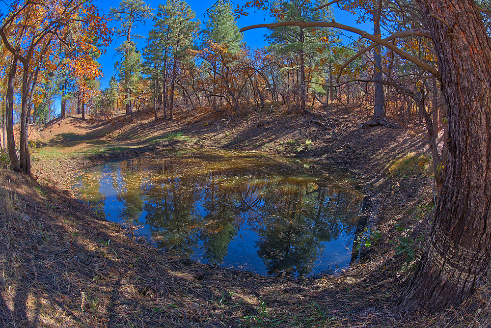 Two of three ponds called the Hearst Tanks, on Grand Canyon South Rim, located one mile east of Grandview Point, Grand Canyon National Park, UNESCO World Heritage Site, Arizona, United States of America, North America