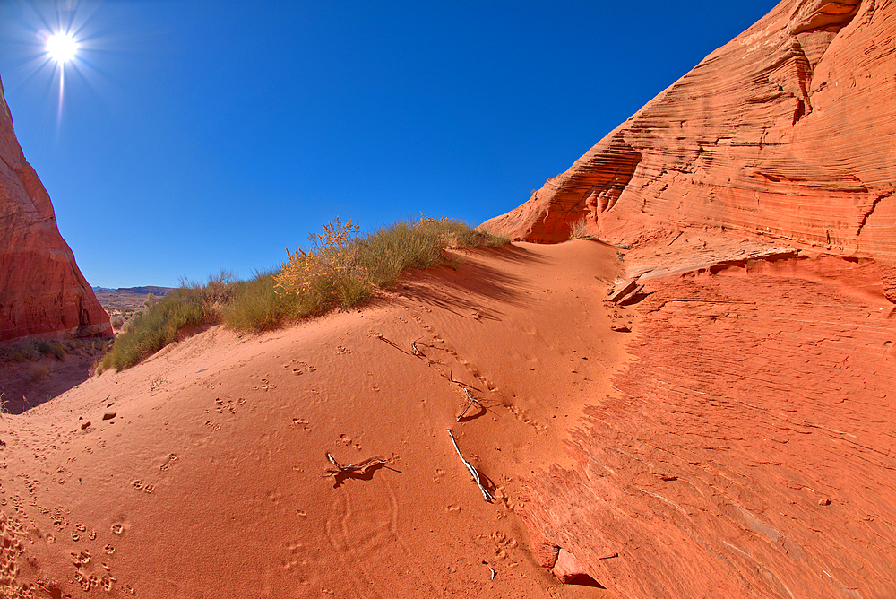 A red sand dune below a sandstone mesa, at Ferry Swale in the Glen Canyon Recreation Area near Page, Arizona, United States of America, North America