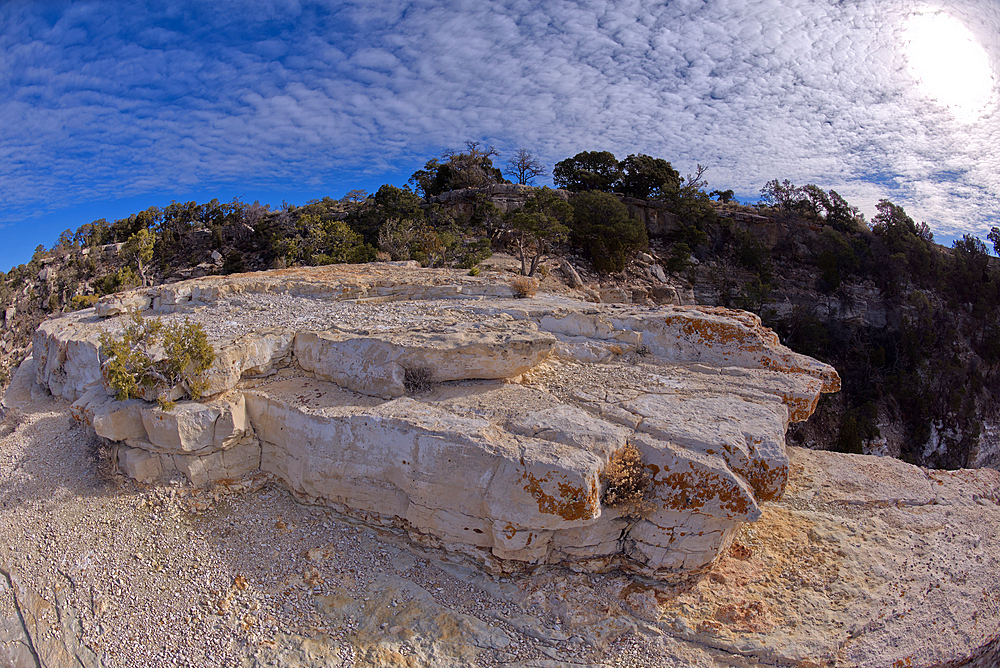 Look back at the Great Mohave Wall Overlook from a rock platform just below the cliffs at Grand Canyon, Arizona, United States of America, North America