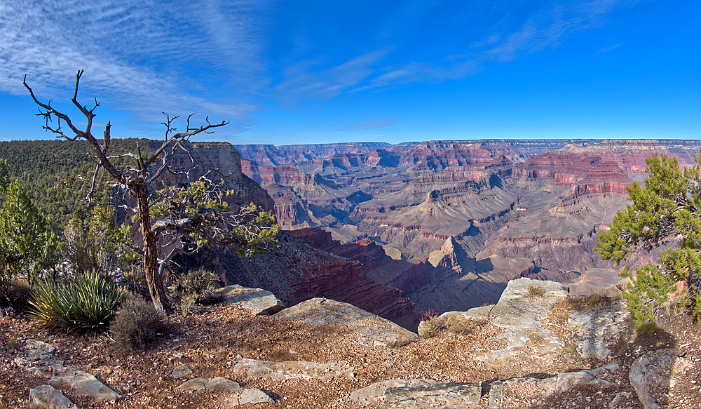 The cliffs of Grand Canyon west of Monument Creek Vista, Grand Canyon National Park, UNESCO World Heritage Site, Arizona, United States of America, North America