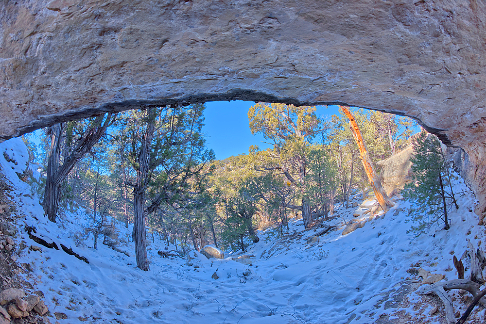 View from below a cliff ledge just west of Hermits Rest, Grand Canyon, Arizona, United States of America, North America