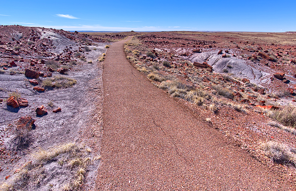 The paved trail that leads to the historic Agate House in Petrified Forest National Park, Arizona, United States of America, North America