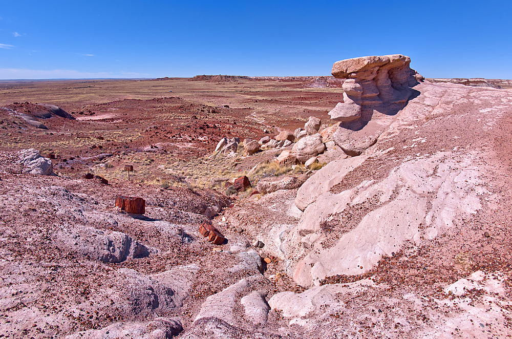 A scenic overlook on the west side of the Giant Logs Trail at Petrified Forest National Park, Arizona, United States of America, North America